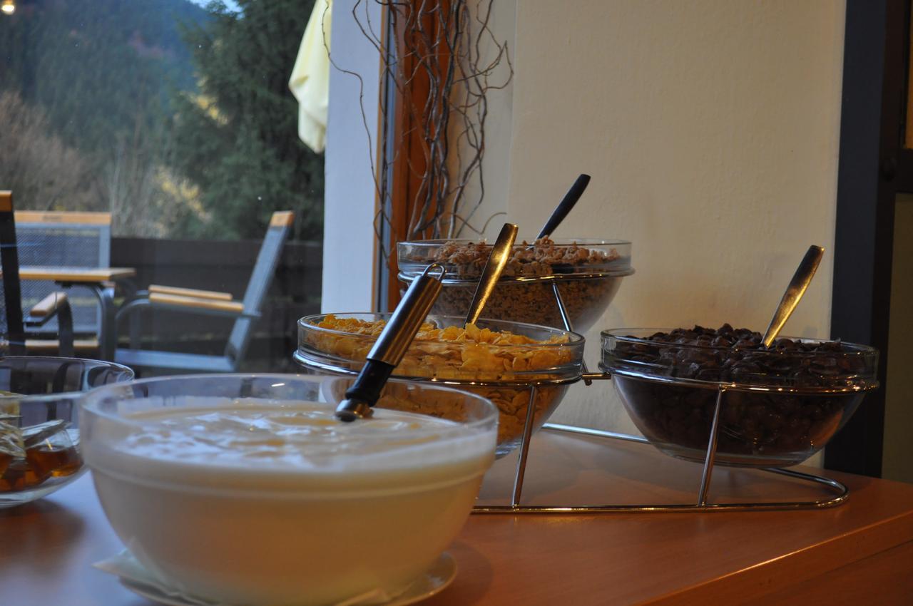 Hotel Parkhotel Harrachov