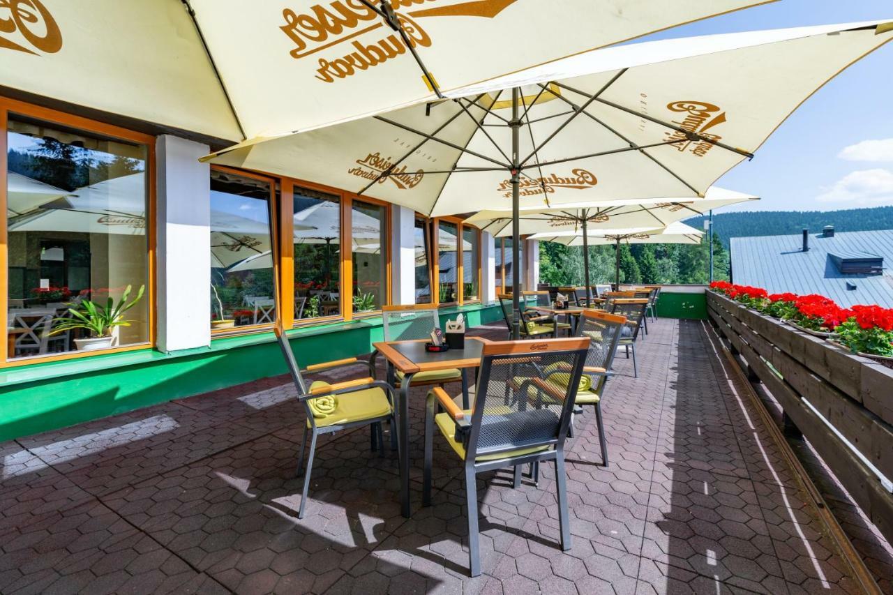 Hotel Parkhotel Harrachov